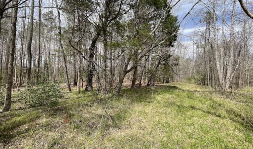 Photo #33 of SOLD property in Off Sutherland Road, Sutherland, VA 10.0 acres