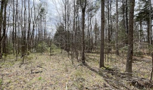 Photo #34 of SOLD property in Off Sutherland Road, Sutherland, VA 10.0 acres
