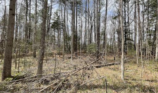 Photo #35 of SOLD property in Off Sutherland Road, Sutherland, VA 10.0 acres