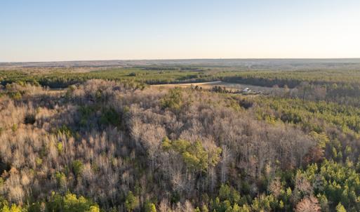 Photo #4 of SOLD property in Off Sutherland Road, Sutherland, VA 10.0 acres