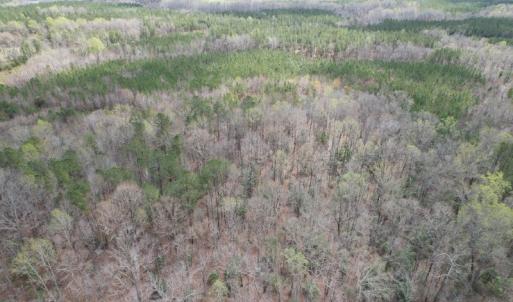 Photo #5 of SOLD property in Off Sutherland Road, Sutherland, VA 10.0 acres