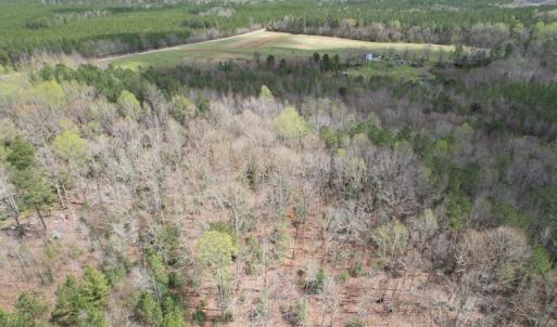 Photo #6 of SOLD property in Off Sutherland Road, Sutherland, VA 10.0 acres
