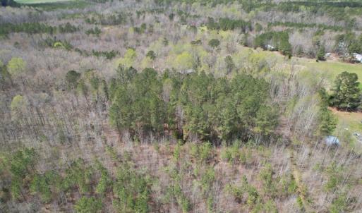 Photo #7 of SOLD property in Off Sutherland Road, Sutherland, VA 10.0 acres