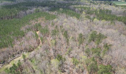 Photo #8 of SOLD property in Off Sutherland Road, Sutherland, VA 10.0 acres
