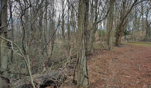 Photo #7 of SOLD property in Off Cedar Crest Drive, Madison Heights, VA 3.9 acres