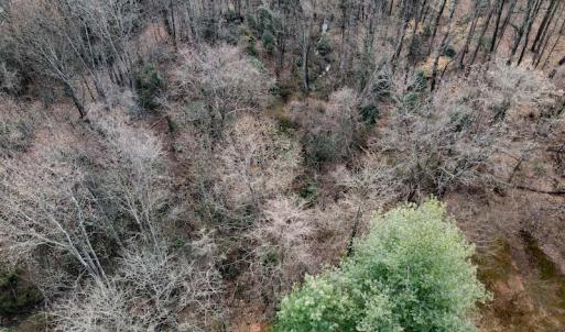 Photo #16 of SOLD property in Off Cedar Crest Drive, Madison Heights, VA 3.9 acres