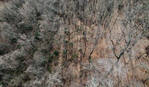 Photo #17 of SOLD property in Off Cedar Crest Drive, Madison Heights, VA 3.9 acres