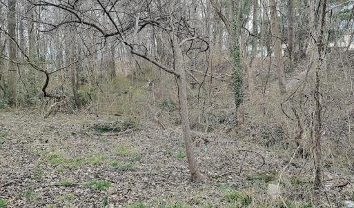 Photo #8 of SOLD property in Off Cedar Crest Drive, Madison Heights, VA 3.9 acres