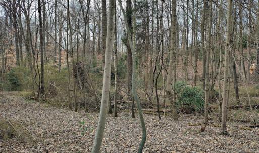 Photo #9 of SOLD property in Off Cedar Crest Drive, Madison Heights, VA 3.9 acres