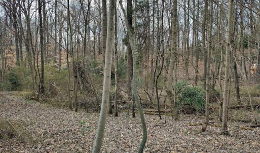 Photo #9 of SOLD property in Off Cedar Crest Drive, Madison Heights, VA 3.9 acres