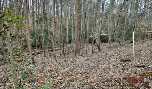 Photo #10 of SOLD property in Off Cedar Crest Drive, Madison Heights, VA 3.9 acres