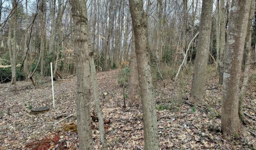 Photo #11 of SOLD property in Off Cedar Crest Drive, Madison Heights, VA 3.9 acres