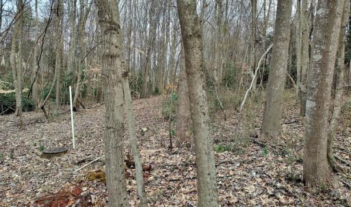 Photo #11 of SOLD property in Off Cedar Crest Drive, Madison Heights, VA 3.9 acres