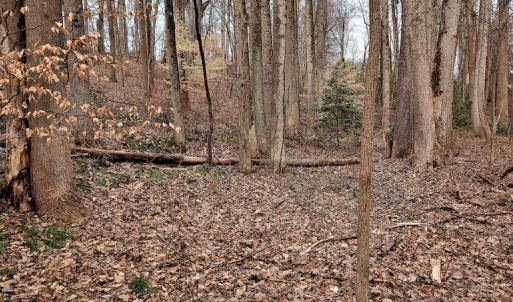 Photo #12 of SOLD property in Off Cedar Crest Drive, Madison Heights, VA 3.9 acres