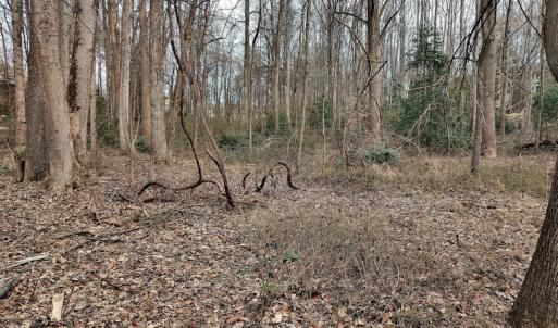 Photo #13 of SOLD property in Off Cedar Crest Drive, Madison Heights, VA 3.9 acres