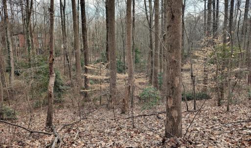 Photo #14 of SOLD property in Off Cedar Crest Drive, Madison Heights, VA 3.9 acres