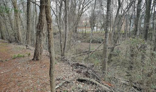 Photo #15 of SOLD property in Off Cedar Crest Drive, Madison Heights, VA 3.9 acres