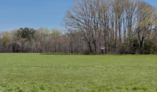 Photo #26 of Off Antioch Church Road, Timberlake, NC 86.2 acres