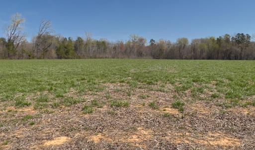 Photo #30 of Off Antioch Church Road, Timberlake, NC 86.2 acres