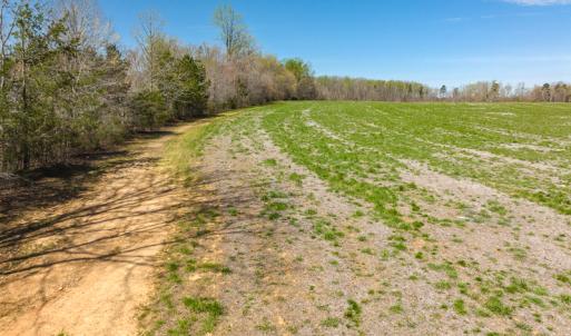 Photo #11 of SOLD property in Off Antioch Church Road, Timberlake, NC 86.2 acres