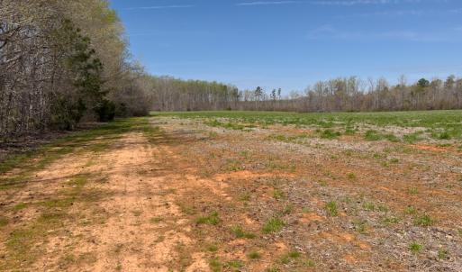 Photo #15 of SOLD property in Off Antioch Church Road, Timberlake, NC 86.2 acres
