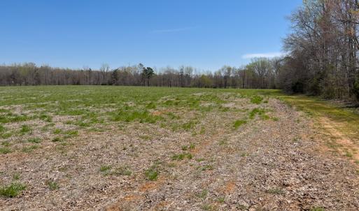 Photo #17 of SOLD property in Off Antioch Church Road, Timberlake, NC 86.2 acres