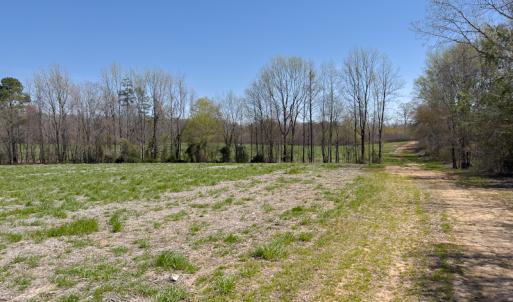 Photo #19 of SOLD property in Off Antioch Church Road, Timberlake, NC 86.2 acres