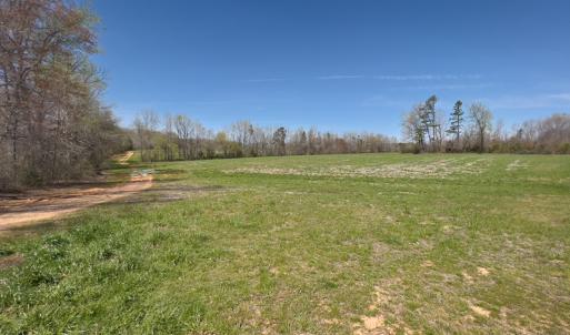 Photo #21 of SOLD property in Off Antioch Church Road, Timberlake, NC 86.2 acres