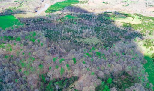 Photo #17 of Off Court Road, Pittsville, VA 286.0 acres