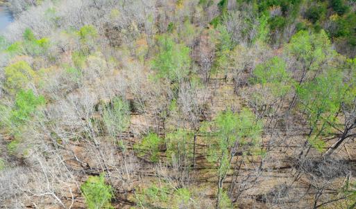 Photo #22 of Off Court Road, Pittsville, VA 286.0 acres