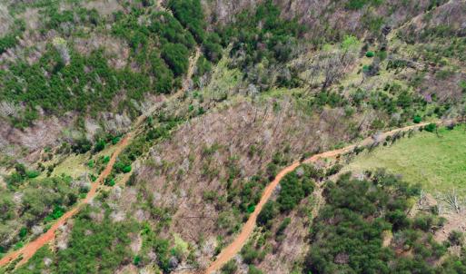 Photo #33 of Off Court Road, Pittsville, VA 286.0 acres