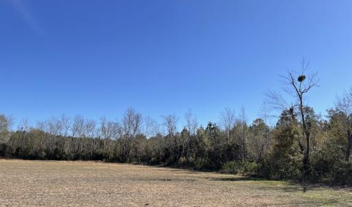 Photo #3 of Off Fair Bluff Highway, Green Sea, SC 5.0 acres