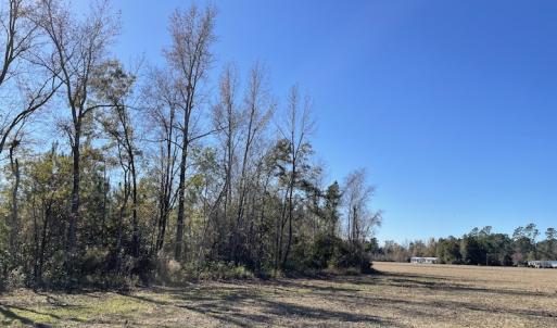 Photo #4 of Off Fair Bluff Highway, Green Sea, SC 5.0 acres