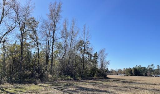 Photo #4 of Off Fair Bluff Highway, Green Sea, SC 5.0 acres