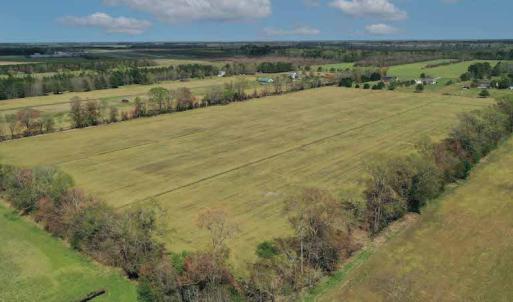 Photo #2 of SOLD property in Off West Road, Chesapeake, VA 29.1 acres
