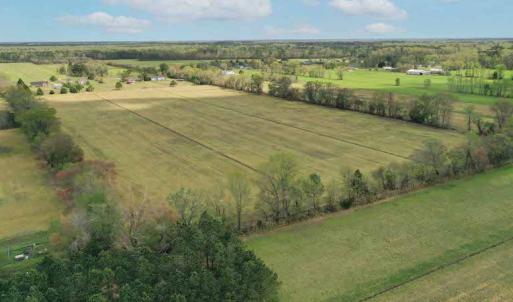 Photo #4 of SOLD property in Off West Road, Chesapeake, VA 29.1 acres