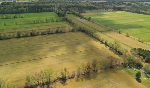 Photo #5 of SOLD property in Off West Road, Chesapeake, VA 29.1 acres