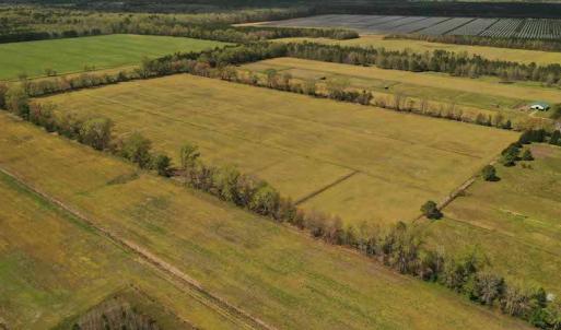 Photo #7 of SOLD property in Off West Road, Chesapeake, VA 29.1 acres