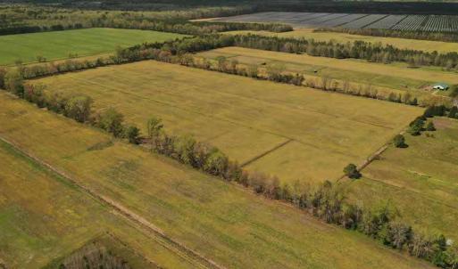 Photo #7 of SOLD property in Off West Road, Chesapeake, VA 29.1 acres