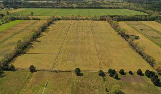 Photo #8 of SOLD property in Off West Road, Chesapeake, VA 29.1 acres