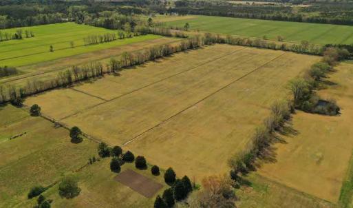 Photo #9 of SOLD property in Off West Road, Chesapeake, VA 29.1 acres