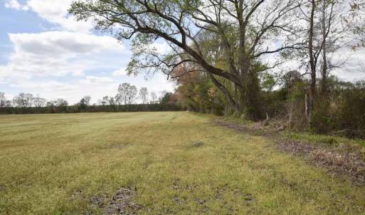 Photo #17 of SOLD property in Off West Road, Chesapeake, VA 29.1 acres