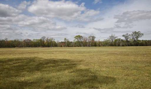 Photo #20 of SOLD property in Off West Road, Chesapeake, VA 29.1 acres