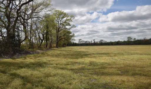 Photo #23 of SOLD property in Off West Road, Chesapeake, VA 29.1 acres