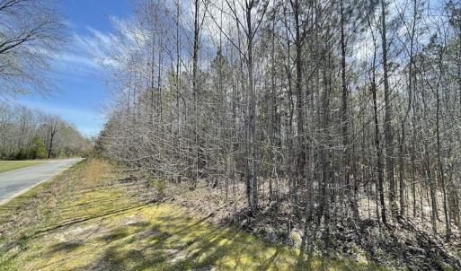 Photo #10 of SOLD property in Off Indian Neck Road, Newtown, VA 12.0 acres