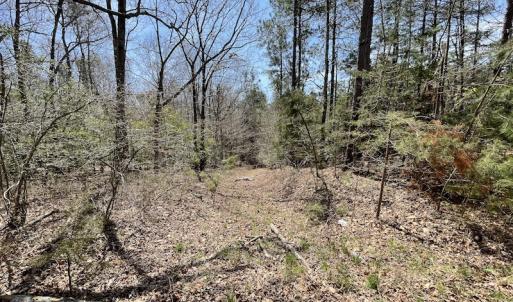 Photo #13 of SOLD property in Off Indian Neck Road, Newtown, VA 12.0 acres