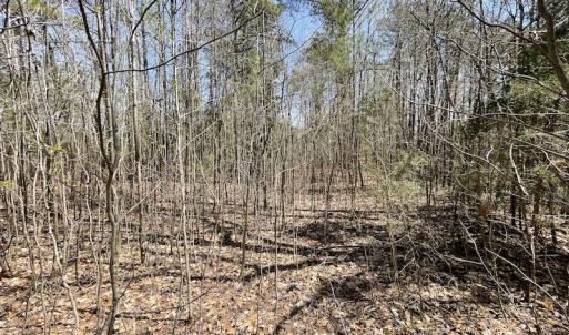 Photo #14 of SOLD property in Off Indian Neck Road, Newtown, VA 12.0 acres