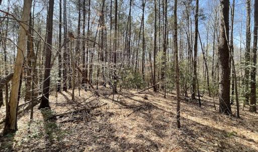 Photo #15 of SOLD property in Off Indian Neck Road, Newtown, VA 12.0 acres