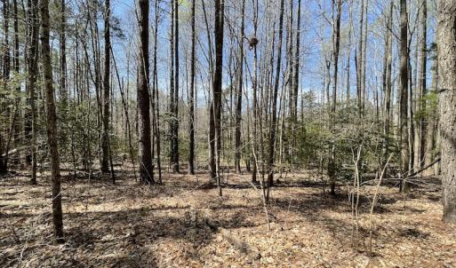 Photo #16 of SOLD property in Off Indian Neck Road, Newtown, VA 12.0 acres