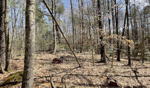 Photo #17 of SOLD property in Off Indian Neck Road, Newtown, VA 12.0 acres